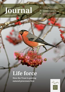 01_JMT Journal 79_Autumn-Winter 2025 COVER