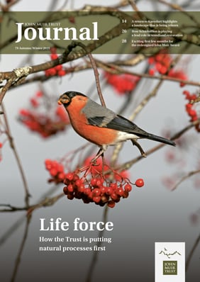 01_JMT Journal 79_Autumn-Winter 2025 COVER