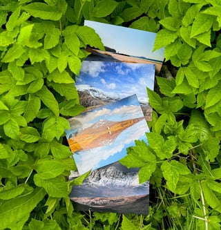 2024postcardsx4v2sq