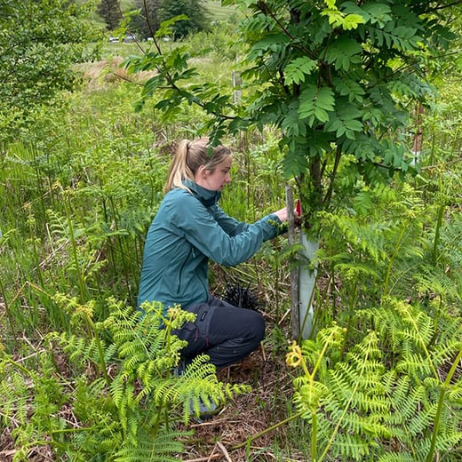 Absolute Escapes volunteering June 25 - sq