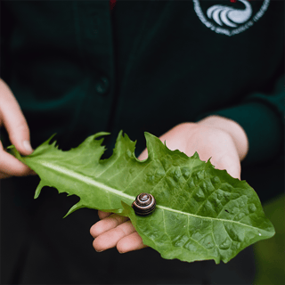 Award girl with leaf sq
