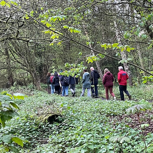 CHP walk iMG_6856 sq