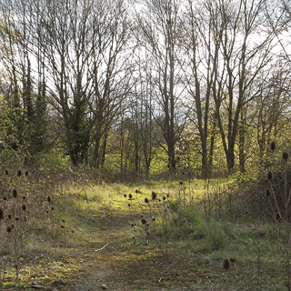 Charterhouse Heritage Park 2