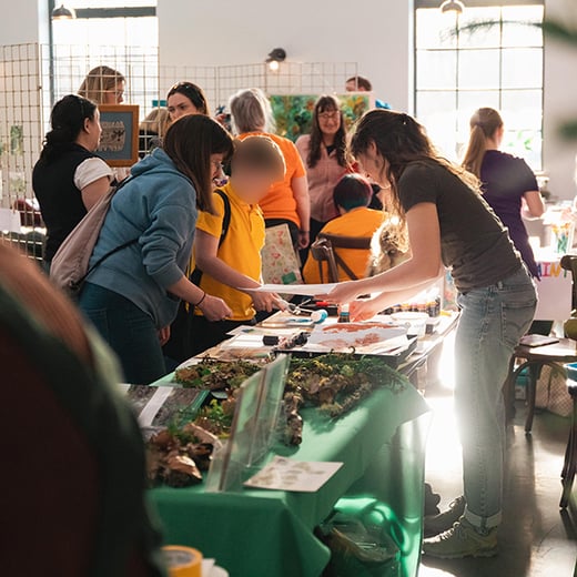 Creative rainforest showcase 16770 copy