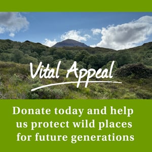 Vital Appeal - Quinag