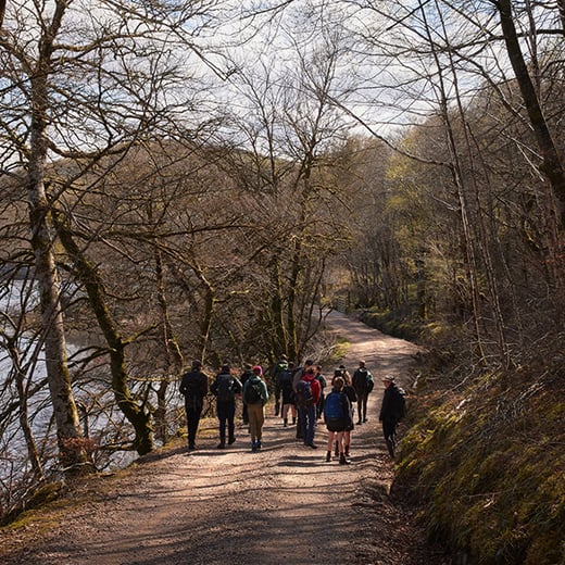 Nevis walkers - B Stratham sq crop