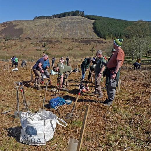 Phoenix Futures planting day 2026 - sq