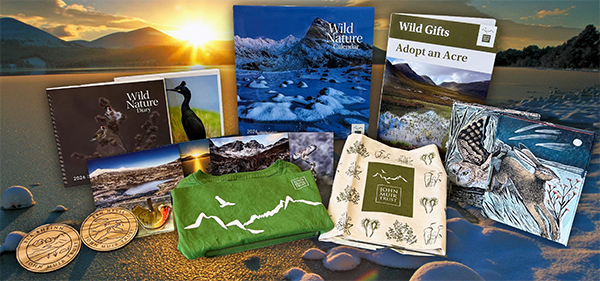 Sunset all products - xmas 25 sm