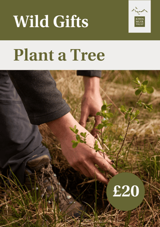 Wild Gifts - Plant a Tree