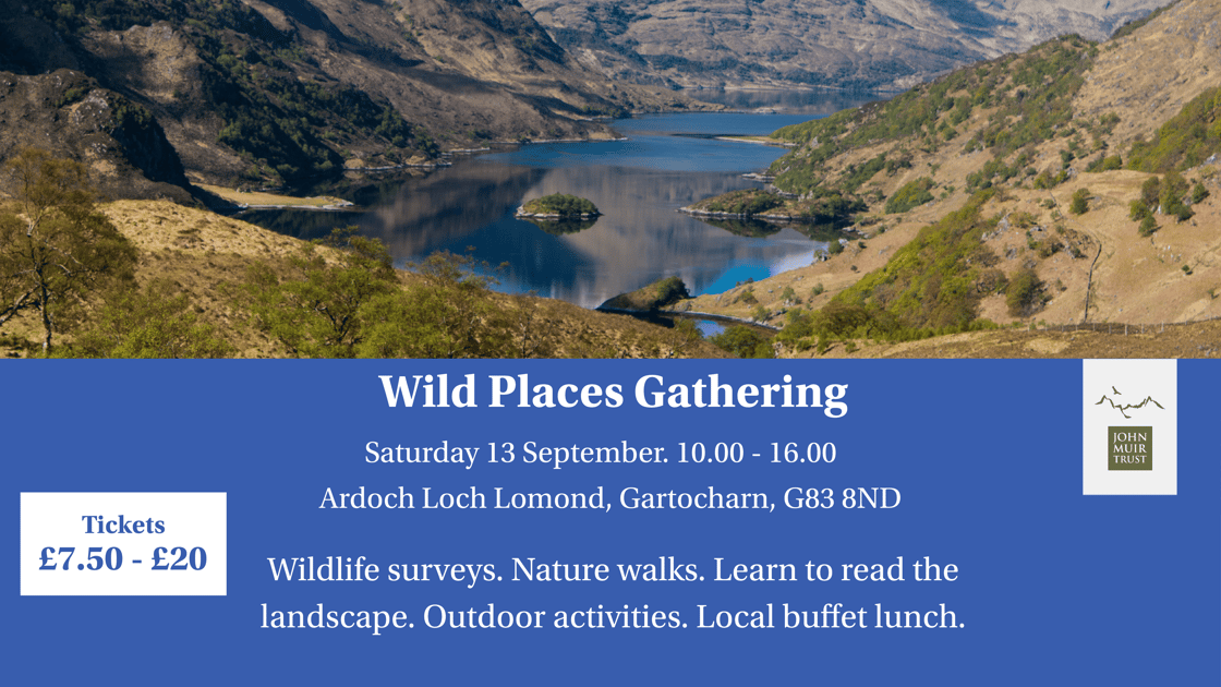 Wild Places Gathering image
