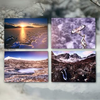 Xmas cards sq